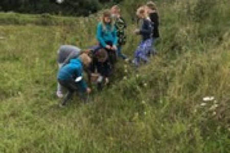 Bild1