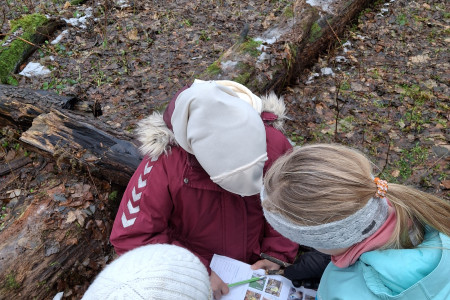 20260114 Stunde der Wintervoegel